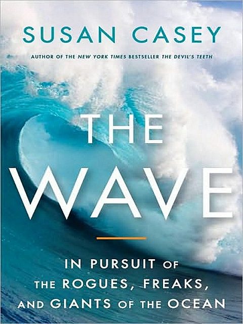 Cover image of The Wave