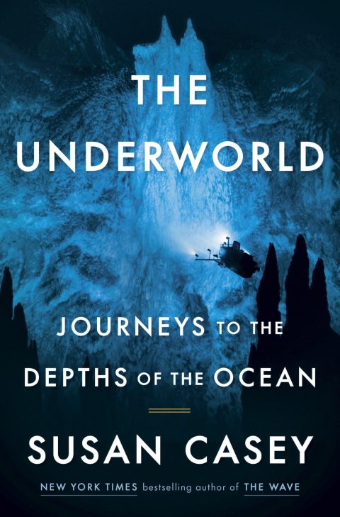 Cover image of The Underworld: Journeys to the Depths of the Ocean